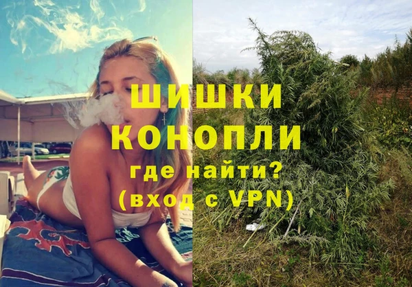 прущие крисы Козловка