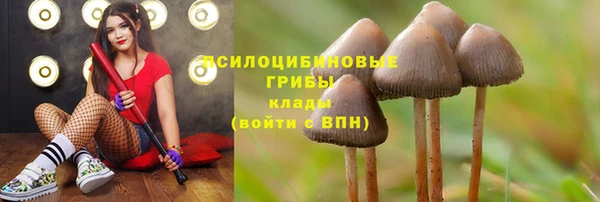 метадон Нея