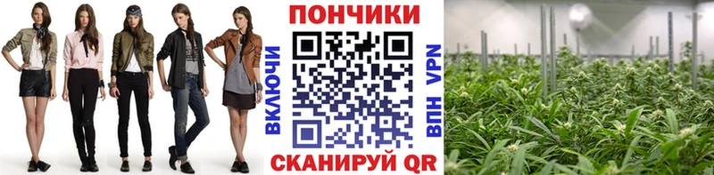 где продают наркотики  Кораблино  Канабис гибрид 